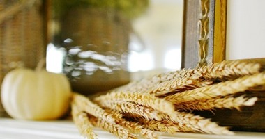فوائد الحبوب الكاملة.. تحافظ على قلبك وتحميك من السرطان