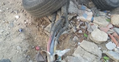 محافظة دمياط تستجيب لإهالى الأربيعين بدمياط لتحويل كابلات الكهرباء