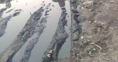 "صحافة المواطن".. الصرف الصحى يغرق منازل قرية "بلاى" بالغربية