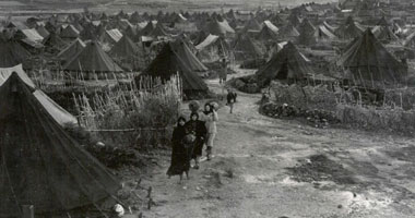 "الزراعيين"  تعقد مؤتمرا فى ذكرى نكبة فلسطين