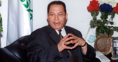 جويلى يؤكد أهمية السوق الإلكترونية العربية