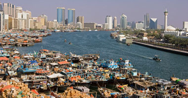 الساحة الخضراء فى ورشة عمل بدبى 