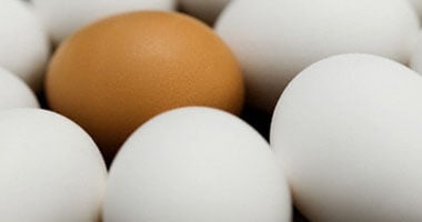 بيض "يوزوتاما" اليابانى بطعم ورائحة الفاكهة الحمضية