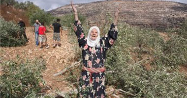 تقرير: مشاركة المرأة الفلسطينية فى القوى العاملة لا تتعدى 17%