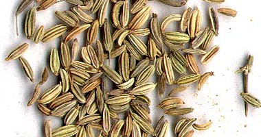 الطب البديل.. فوائد زيت بذور الشمر لعلاج سوء الهضم والسمنة والالتهاب