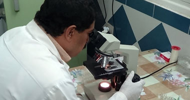 علماء: حجم المركبات النيتروجينية فى الهواء أكثر مما ينبغى