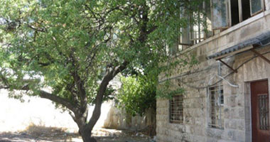 "نحو قاهرة خضراء" حلم عمرة 20 عاما