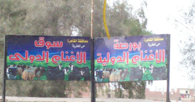 بالصور..  كارثة أثرية عالمية.. أرض جامعة أون الفرعونية تتحول إلى "بورصة دولية للأغنام".. الحى استولى على الأرض الأثرية بالمخالفة للقانون وأهالى المطرية يتوعدون: الخروف اللى هيقرب هنا هنقطع رجله