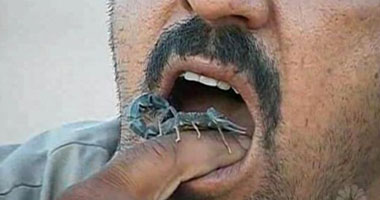 مزارع عراقى يدمن أكل العقارب ويداوم عليها كمقبلات خفيفة