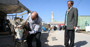 "فلسطين" ضيف شرف مهرجان الإسكندرية السينمائى الدولى