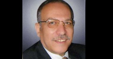رئيس المحكمة الدستورية العليا يستقبل السفيرة الأمريكية