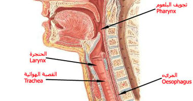 ما سبب بحة الصوت والعلاج الأمثل؟
