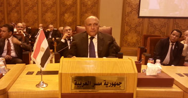وزير الخارجية يشارك فى اجتماع عربى حول سوريا  بالسعودية