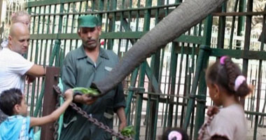 بالصور.. فسحة العيد مبقتش رحلة للقناطر أو حديقة الحيوان.. دلوقتى ممكن تقضيها فى مول أو تسافر الساحل تحضر حفلة وتعمل "دايفنج" كمان