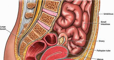 اختبار مدته خمس دقائق يمنع سرطان الأمعاء