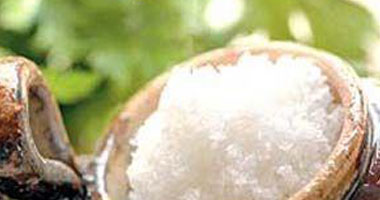 ضبط 20 طن ملح سياحات بمعمل جبنة ببورسعيد