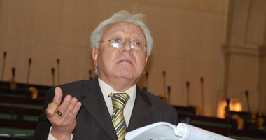 شوقى السيد: تدويل قضية "القضاء" ليس استقواء بالخارج