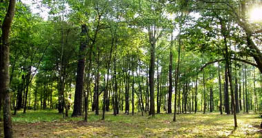 غادة عيسى تكتب: هل قلت لك..؟