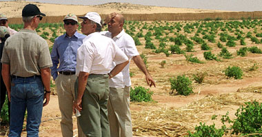 عمال توشكى يضربون عن العمل بسبب الأغانى الخليجية