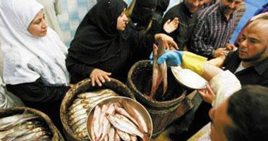 "تموين" الوادى الجديد يشن حملات على أسواق اللحوم والأسماك