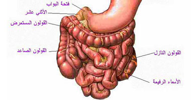 الآن.. "عصير النانو" أحدث الوسائل التشخيصية لأمراض الأمعاء