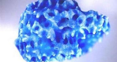 اعرف جسمك.. الخلايا الجذعية تساعد فى علاج أمراض القلب والدماغ