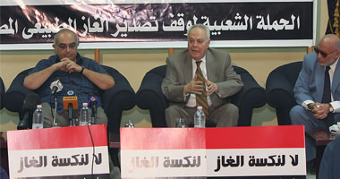 وقفة أمام مجلس الدولة احتجاجاً على عدم تنفيذ أحكام القضاء فى قضية الغاز