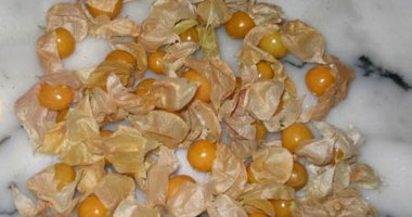 الحرنكش ملئ بالفوائد.. يحسن عملية الهضم وحركة الأمعاء
