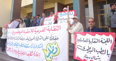 العاملون بـ"بيطرى بشمال سيناء" يواصلون إضرابهم عن العمل