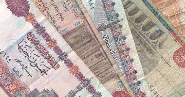 فوزى فهمى غنيم يكتب: المصلحة العامة هى الأهم