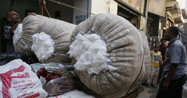 غدا أول اجتماع للجنة القطن لبحث تسويق منتج العام الماضى والمحصول الحالي