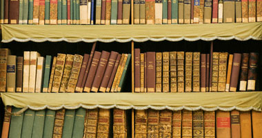 القارئ خالد فؤاد يكتب: علم بلا أخلاق كشجرة بلا أوراق
