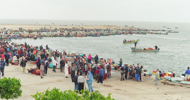 اعتصام مئات العاملين ببحيرة البردويل بسبب استمرار التعديات عليها