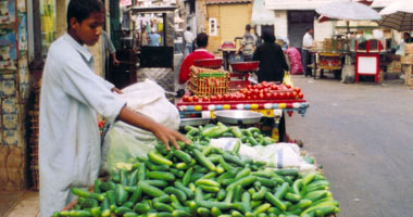 القارئة أمل همام تكتب: الفارس المزيف‎ 