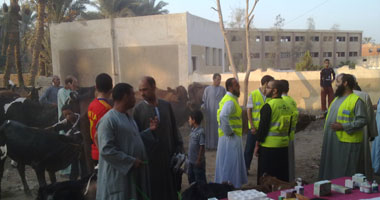  قافلة بيطرية لحزب "النور" السلفى بالفيوم