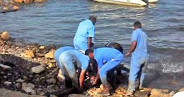 اجتماع جديد بمحافظة البحر الأحمر لبحث تسرب الجمشة