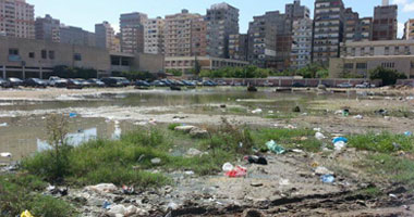حزب المصريين الأحرار بالإسكندرية يواصل حملة "بـإيدينا نغير"