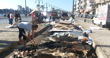 شعبة الدباغة: 2.5 مليار جنيه إجمالى صادراتنا خلال 11 شهراً