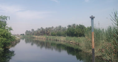 مجلس مدينة القناطر يطلق حملة لتطهير الترع والمصارف