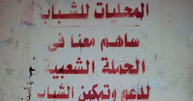 جرافيتى لحملة المحليات للشباب بالفيوم