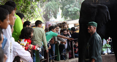 بالصور.. إقبال جماهيرى على الحدائق والأهرامات فى العيد... الفقراء يحتفلون بركوب الكارو والأغنياء يركبون الحنطور 