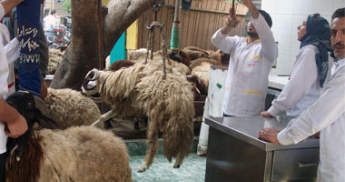 كيفية الحفاظ على سلامة لحوم الأضحية غداً فى "سيدتى"
