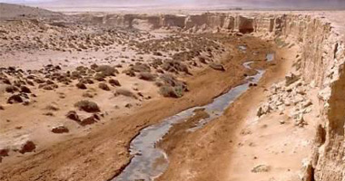 سامح شكرى: قضية الصحراء الغربية معقدة وهناك توافق على اعتماد المسار الأممى