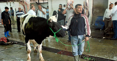 مشاجرة بين 4 مواطنين لخلافات حول البيع والشراء بالمدبح 