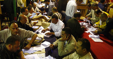 نصر الله يطعن على نتيجة الانتخابات بالوادى الجديد 