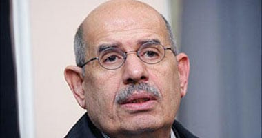 حزب الدستور يطلق موقعه الرسمى على الإنترنت