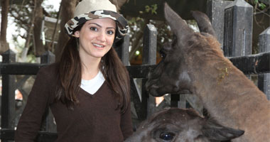 خفايا عالم الحيوان فى برنامج "Zoo Time" على MBC3