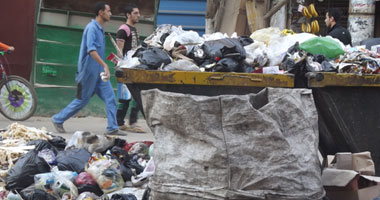 رفع أكثر من 100 طن مخلفات من أحياء الإسماعيلية