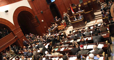 المصريون فى الخارج: مادة "الدفاع الوطنى" فى الدستور من وثيقة السلمى