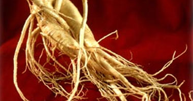 تعرف على الفوائد الصحية للجينسنج.. هيمنع الأنفلونزا